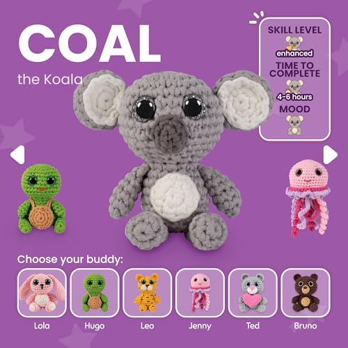 Crochet Kit for Beginners