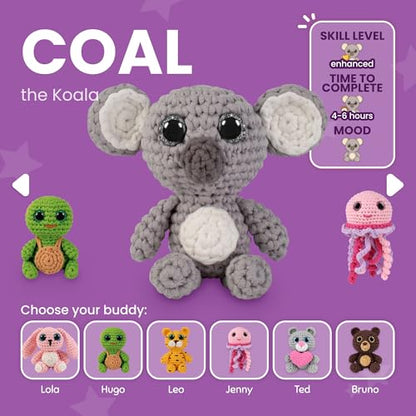 Crochet Kit for Beginners