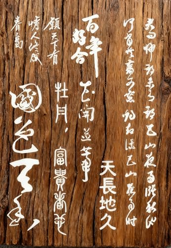 A4 Reusable Chinese Calligraphy Stencil for Painting