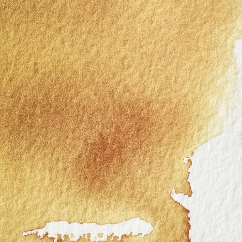 Professional Watercolor