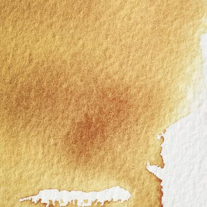 Professional Watercolor