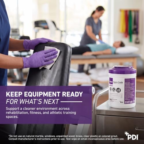 Professional Disposables Surface Disinfectant Super Sani (160 Count)