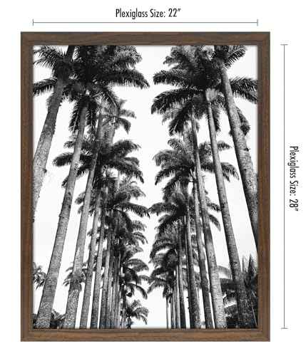 22x28 Poster Frame