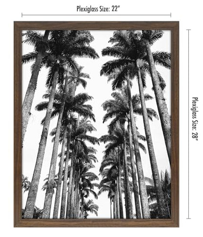 22x28 Poster Frame