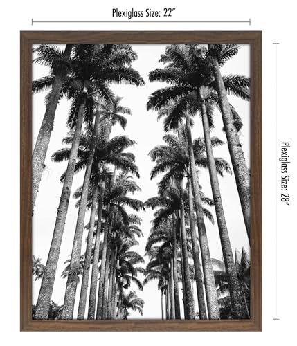 22x28 Poster Frame