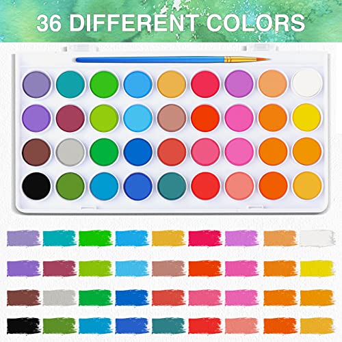 65 Pieces Watercolor Paint Set for Adults Artists