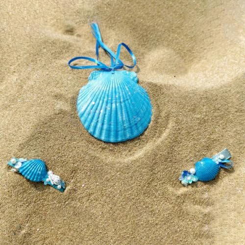 20PCS Scallop Shells Crafts 4''