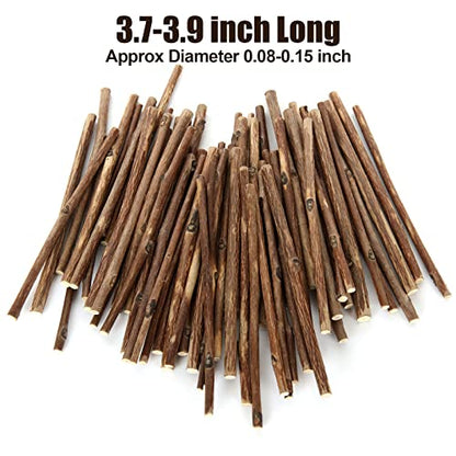 300PCS 4 inch Wood Log Sticks for Crafts (300 Count)
