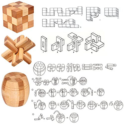 9pcs Wooden Brain Teaser Puzzles (9 Count)