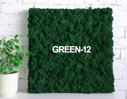 Preserved Reindeer Craft Moss Natural DIY Kit Gardenning Art Wall Olive Green Florist Easter Table Decor Wedding