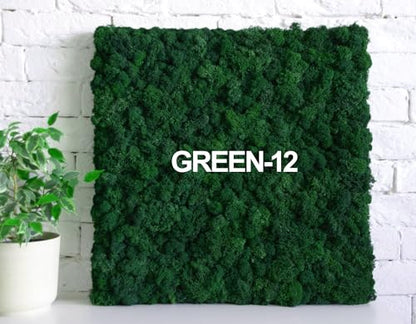 Preserved Reindeer Craft Moss Natural DIY Kit Gardenning Art Wall Olive Green Florist Easter Table Decor Wedding