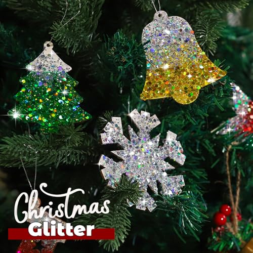 Silver Glitter (5.64 Ounce)