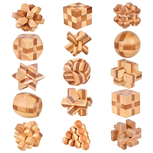15pcs Wooden Brain Teaser Puzzles (15 Count)