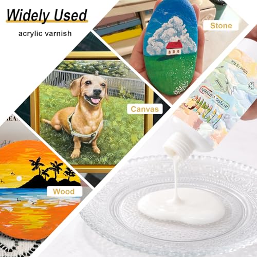 Matte Varnish for Acrylic Painting (3.4 Fl Oz)