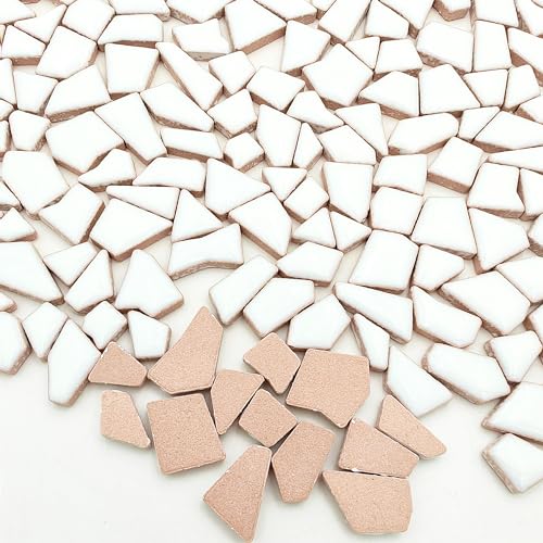 1.1LB Irregular Ceramics Mosaic Tiles (350 Count)