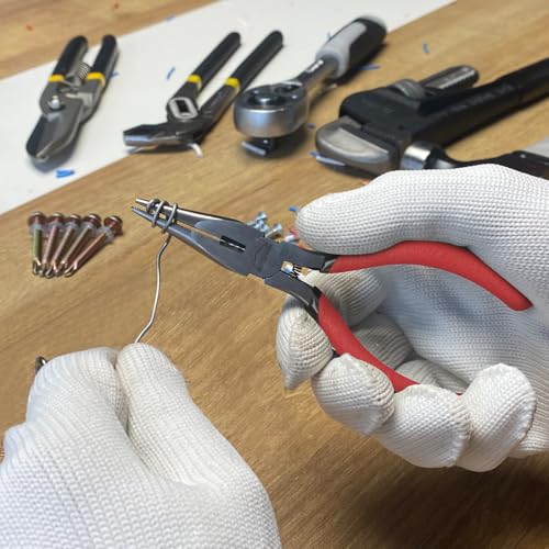Needle Nose Pliers (2 Count)