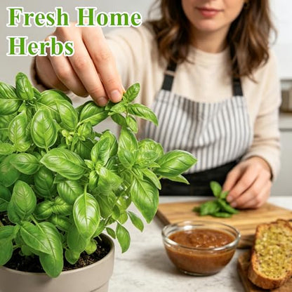 Indoor Herb Garden Kit