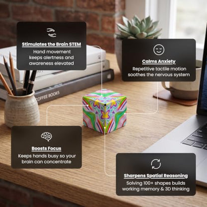 DODECA Magnetic Puzzle Cube
