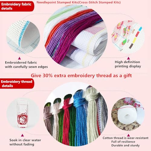 Stamped Cross Stitch Kits for Adults Beginners Pillow Needlepoint Kit with Embroidery Pattern Needlework Kit Prestamped Stitches Kit 11CT Cross Stitching