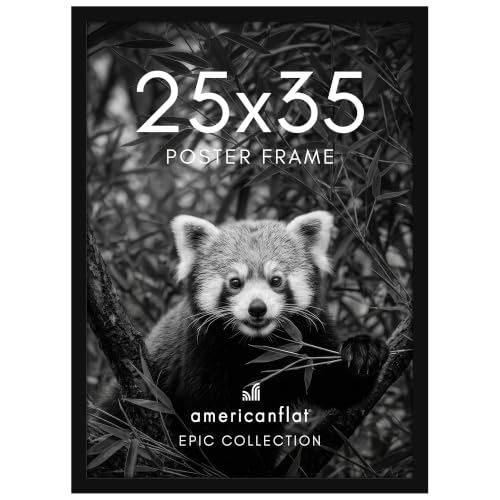 25x35 Poster Frame