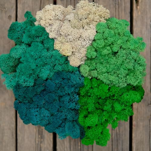 Preserved Reindeer Mix Craft Moss Natural Green DIY Kit Gardenning Art Wall Decor Florist Easter Table Decor Wedding Decor