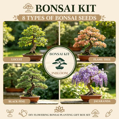 8 Pack Bonsai Tree Kit with Complete Tools (40 Count)