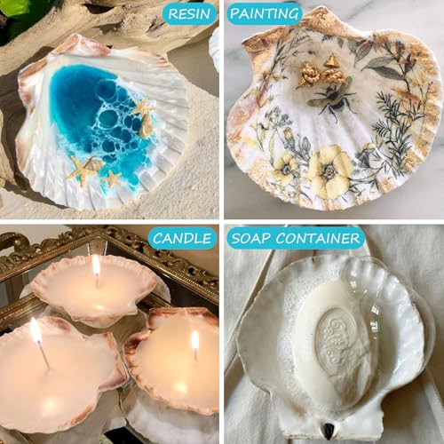 10PCS Scallop Shells for Crafts 4''
