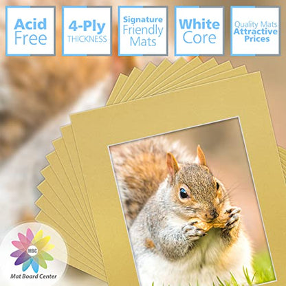Mat Board Center 10 Pack 11x14 Photo Mats for 8x10 Picture (10 Count)
