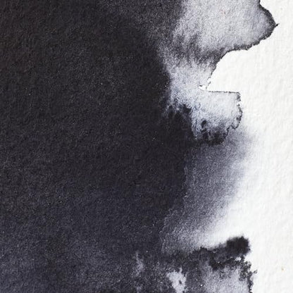 Professional Watercolor