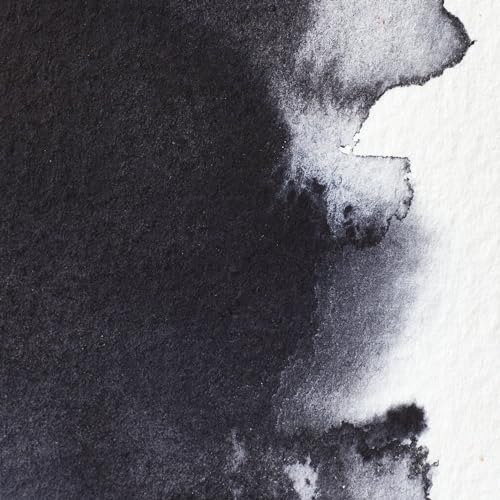 Professional Watercolor