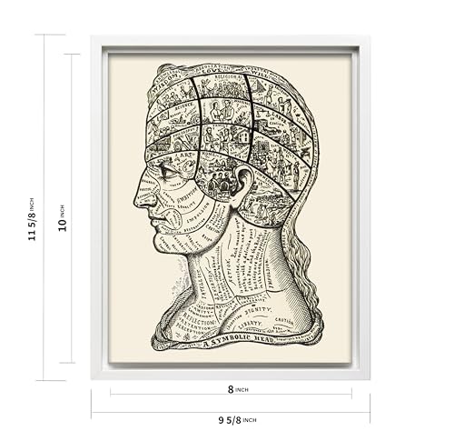 A Symbolic Head Phrenology Print 1899