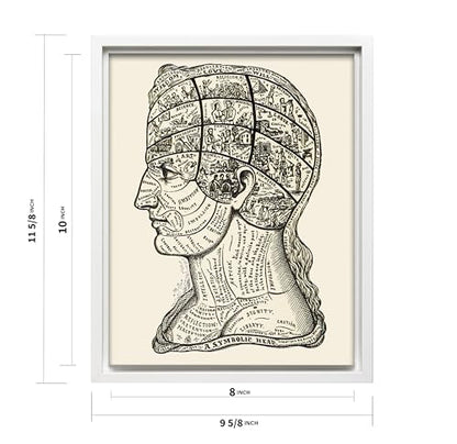A Symbolic Head Phrenology Print 1899