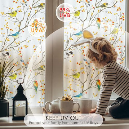 Reeded Glass Window Film Seamless Pattern Colored Birds 35.4" x 78.7"