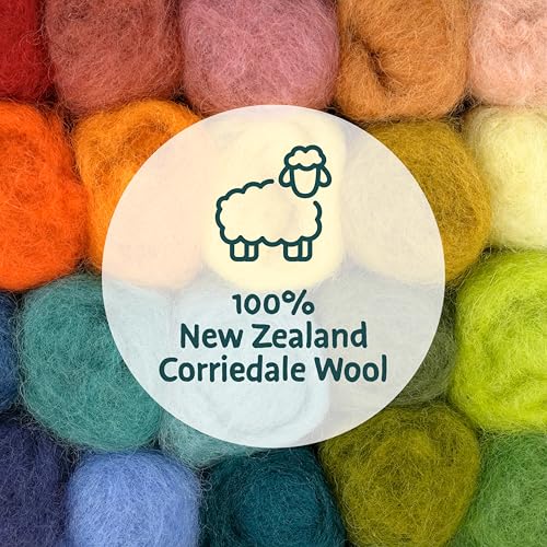 Needle Felting Kit 40 Colors Wool Roving for Adults & Beginner