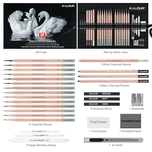 29 Pro Sketching Drawing Pencils Set with Roll (29 Count)