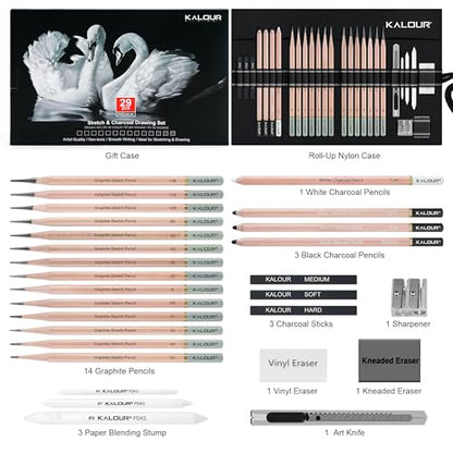 29 Pro Sketching Drawing Pencils Set with Roll (29 Count)