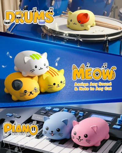 1701A Cat Piano Keyboard for Kids