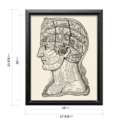 A Symbolic Head Phrenology Print 1899