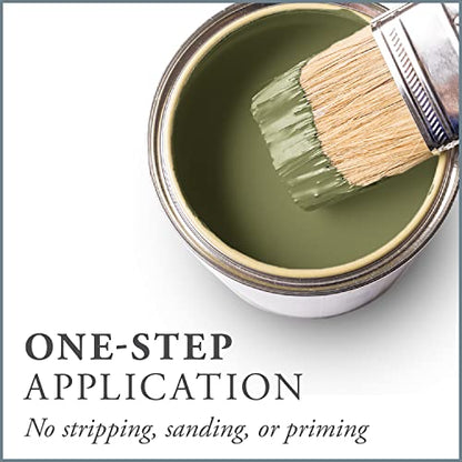 Chalk Based One Step Paint for Furniture (32 Fl Oz)