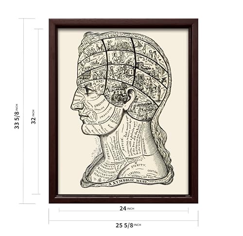 A Symbolic Head Phrenology Print 1899