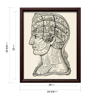 A Symbolic Head Phrenology Print 1899