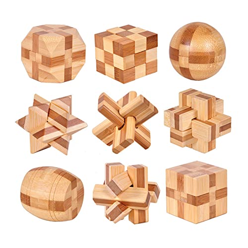 9pcs Wooden Brain Teaser Puzzles (9 Count)