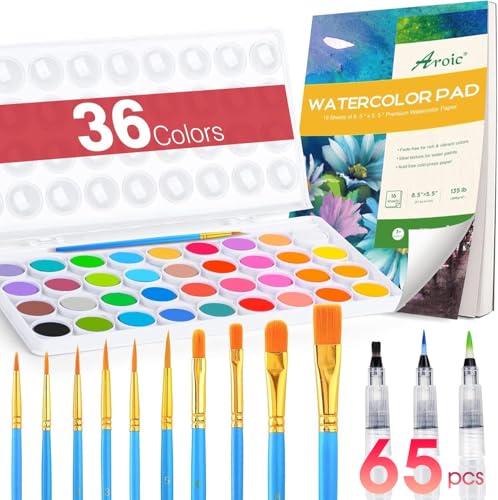 65 Pieces Watercolor Paint Set for Adults Artists