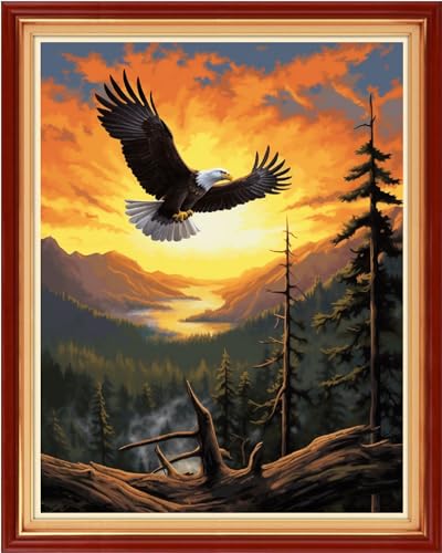 Cross Stitch Kits for Adults Beginners