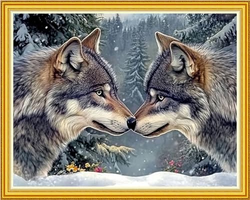 Stamped Cross Stitch Kits for Beginner Embroidery Kits for Beginners Adults DIY 11CT Cross Stitch Patterns Needlepoint Kits Crossstitching Kits