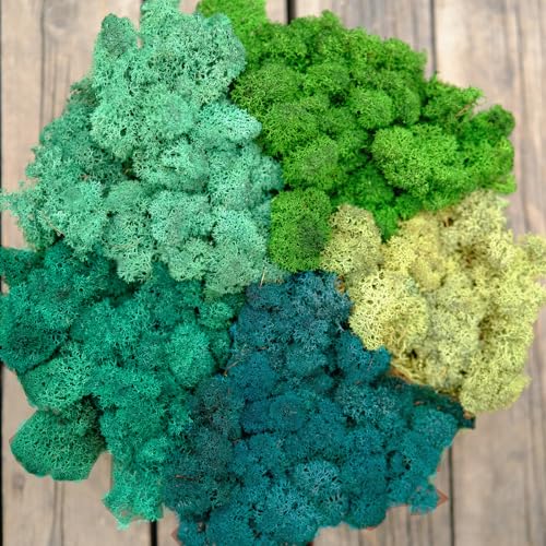 Preserved Reindeer Mix Craft Moss Natural Green DIY Kit Gardenning Art Wall Decor Florist Easter Table Decor Wedding Decor