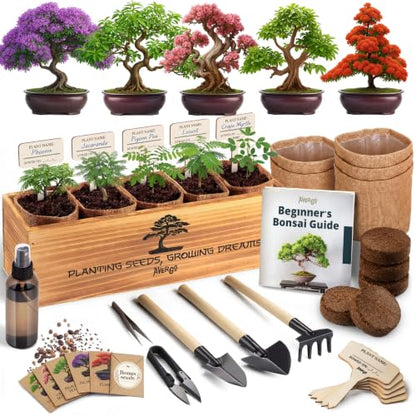 Bonsai Tree Kit Deluxe