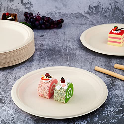 500 Pack Compostable Bagasse Paper Plates 10.25 inch (500 Count)