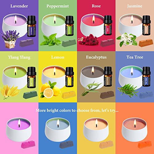 Candle Making Kit for Adults with Electric Wax Melting Pot