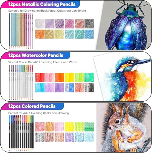 81 Pack Art Supplies for Adults (81 Count)